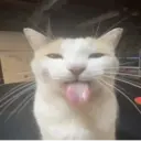 Nhãn dán