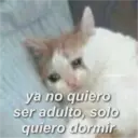 ස්ටිකර්