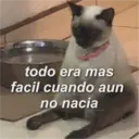 ස්ටිකර්