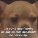 ස්ටිකර්