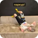 স্টিকার