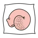 استیکر