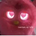 ស្ទីកเกอร์