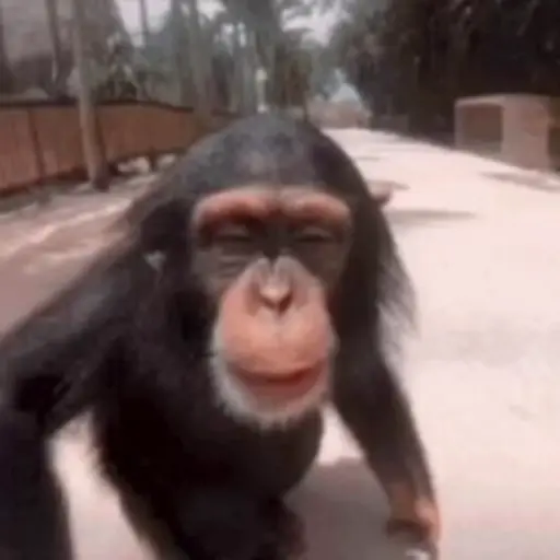 স্টিকার