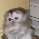 স্টিকার