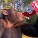 স্টিকার