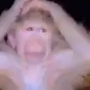 স্টিকার