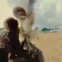 স্টিকার