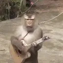 স্টিকার