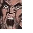 ਸਟਿਕਰ