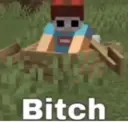 Stika