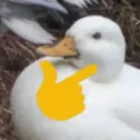 Samolepka