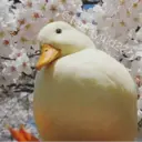 Samolepka