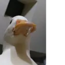 Samolepka