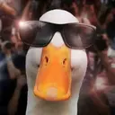 Samolepka