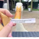 Samolepka