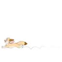 Límmiði