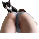 Стикер