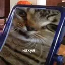 ملصق