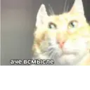 ملصق