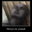 贴纸