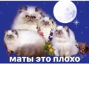 สติกเกอร์