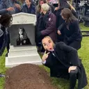 สติกเกอร์