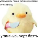Samolepka
