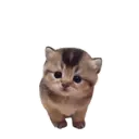 Naljepnica
