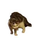 Naljepnica
