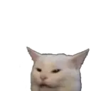 Naljepnica