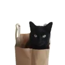 Naljepnica