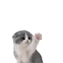 Naljepnica