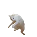 Naljepnica