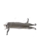 Naljepnica