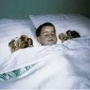 স্টিকার