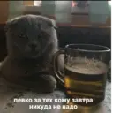 স্টিকার