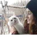 స్టికర్