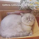 ملصق