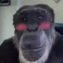 ملصق