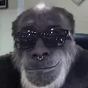 ملصق