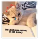 Կպչուն պիտակ