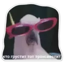 Կպչուն պիտակ