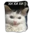 Կպչուն պիտակ