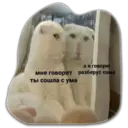 Կպչուն պիտակ