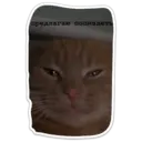 Կպչուն պիտակ