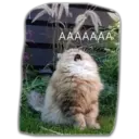 Կպչուն պիտակ