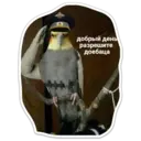 Կպչուն պիտակ