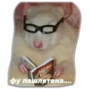 Կպչուն պիտակ