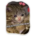 Կպչուն պիտակ